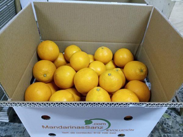 Naranjas Newhall de Valencia online