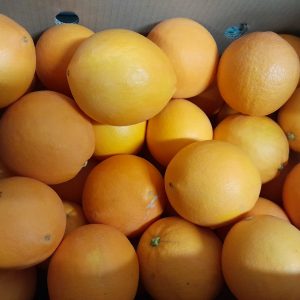 Naranjas Navel Foyos