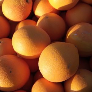 Naranjas Navelate de Valencia Online